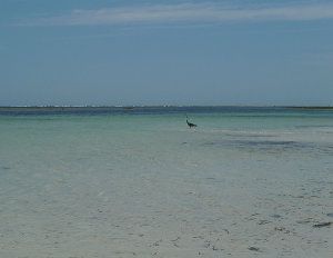 Diani Beach