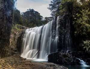 Tasmania