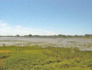 Parque de Doñana