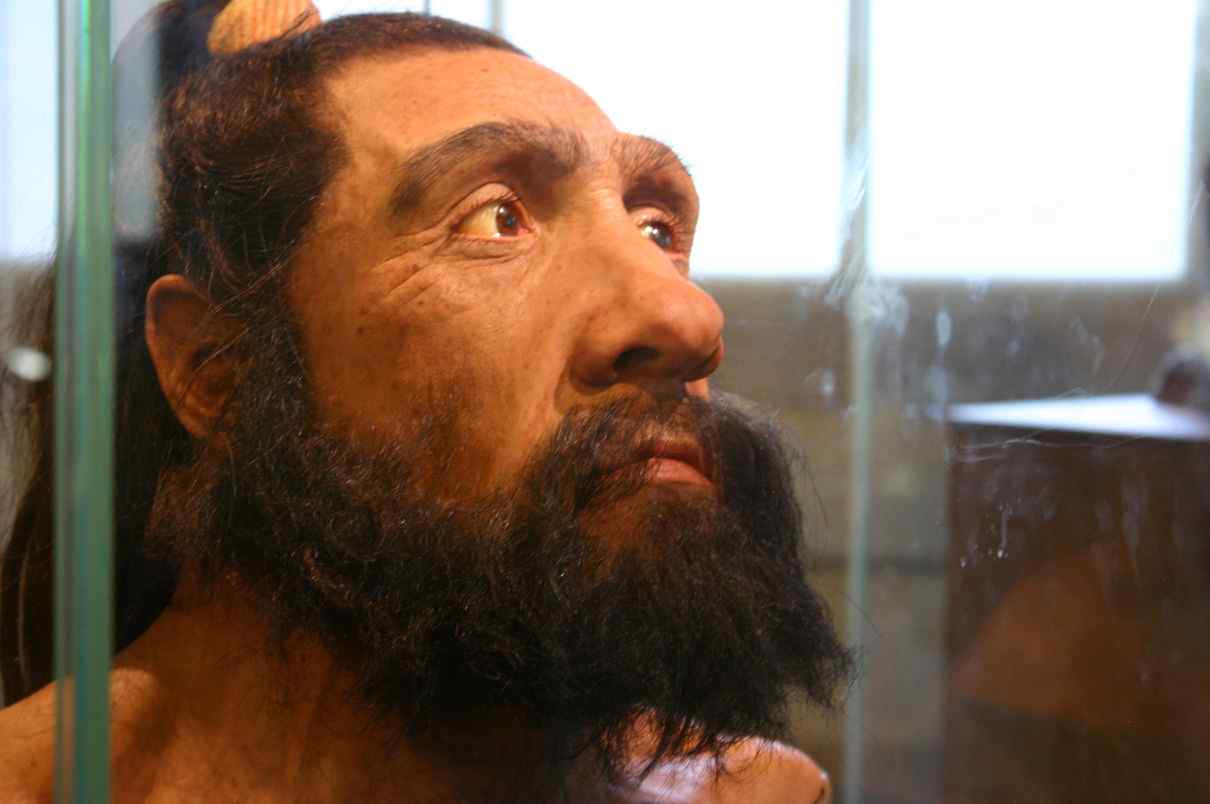 hombre-de-neandertal-homo-neanderthalensis