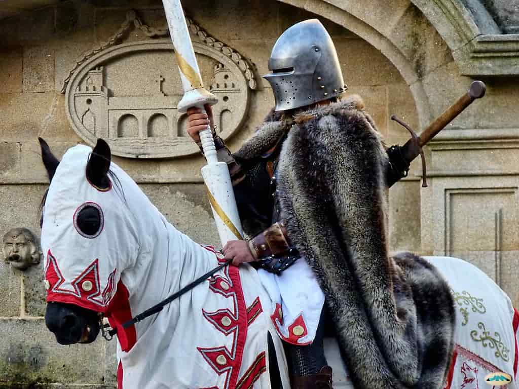 La nobleza en la Edad Media, vida, funciones y privilegios